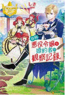 灰塔黄昏 动漫封面