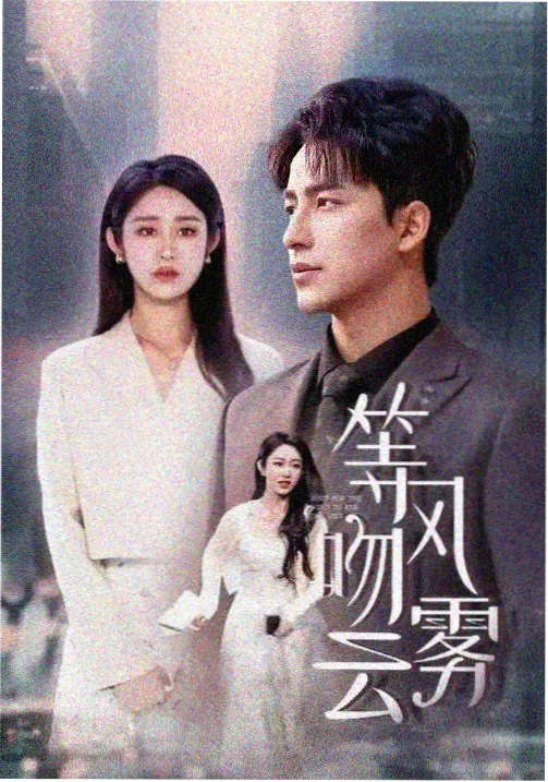 风与少年书 剧集封面