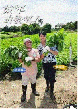 深夜动画食堂 综艺封面